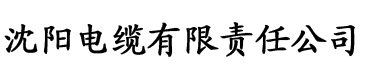 人妻少妇偷人精品无码电缆厂logo